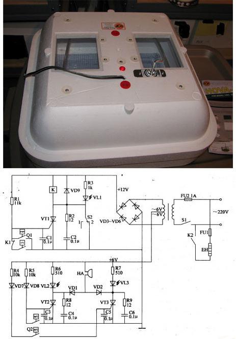 Assepoester incubator 