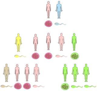 Wat is erfelijkheid? Genetica en zijn types