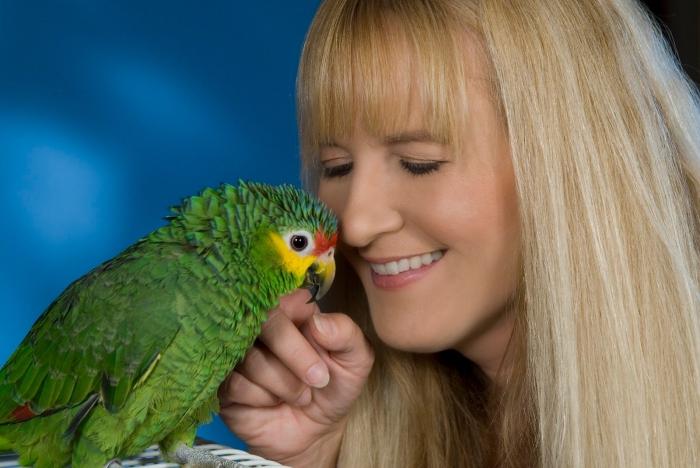 hoe een papegaai te leren praten