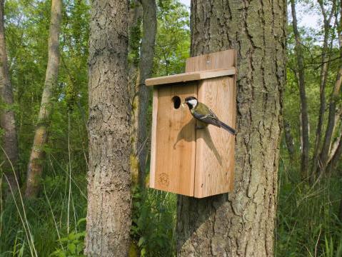 een vogelhuisje maken door eigen handen 