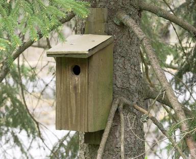 hoe je een vogelhuis maakt 