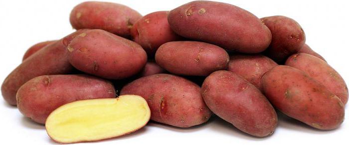 soorten foto's en beschrijving van aardappelen