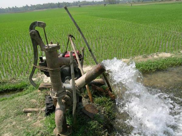 Waterpompen voor irrigatie: wat zijn ze?