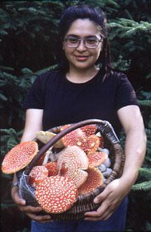 Wat zegt het droomboek: om paddenstoelen te verzamelen - dit is wat?