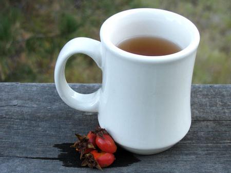 Hoe een dogrose te brouwen in een thermoskan - een manier om een ​​nuttig drankje te bereiden