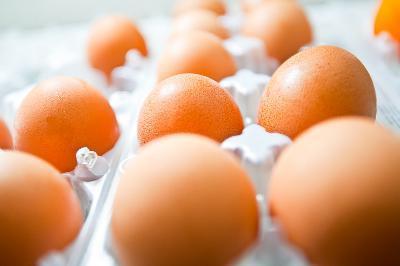 Gezond eten: hoeveel eieren je per dag kunt eten