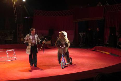 Circus op Dybenko - plezier voor kinderen en volwassenen