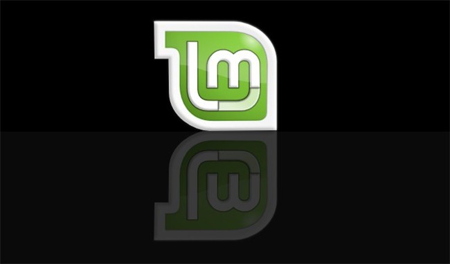 Linux Mint hoe te installeren?