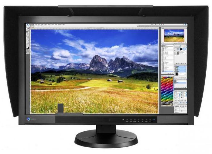 Eizo Monitors: een overzicht van de beste modellen en recensies