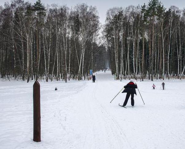 Wat is interessant voor het Bakov-bospark voor toeristen?