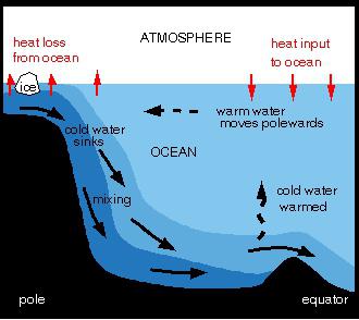 Wat is de thermohaliene circulatie van de oceanen?