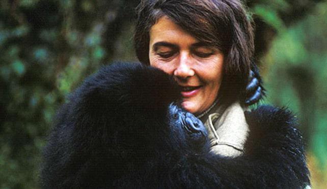 Diane Fossey: foto, biografie, wetenschappelijk werk