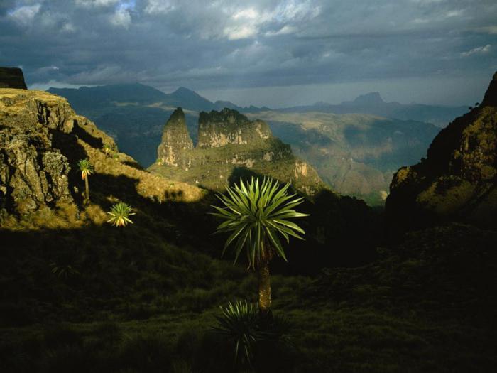 Wat is de hoogste berg in Afrika? Kilimanjaro: beschrijving, foto