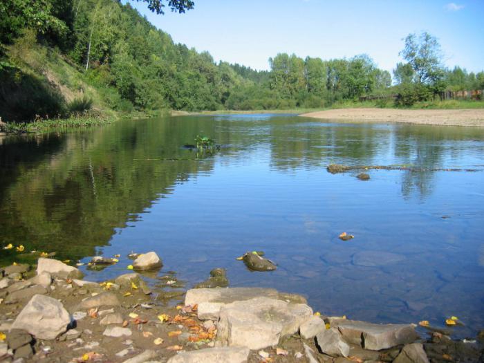 Economisch gebruik van de Yenisei