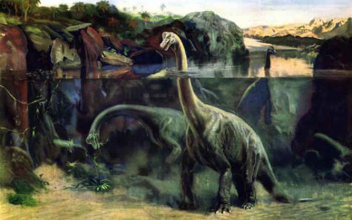 Dinosaurussen met een lange nek: variëteiten, beschrijving, habitat