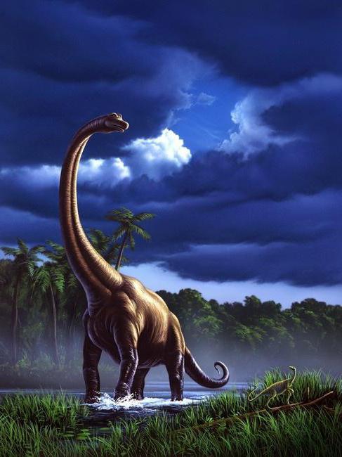 Roofzuchtige dinosaurussen - theropoden: beschrijving, manier van leven
