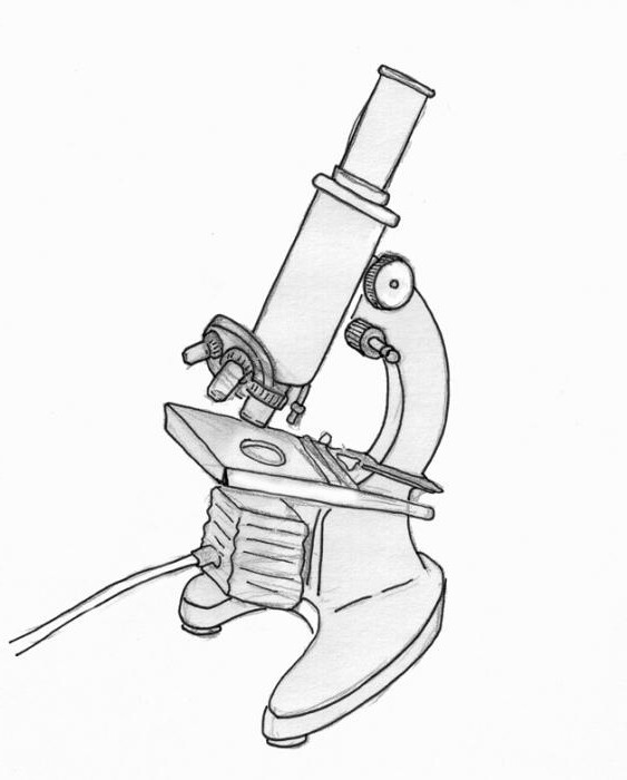 Een stap voor stap een microscoop in potlood tekenen