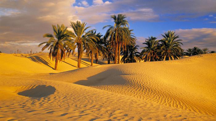 de langste rivier in Afrika