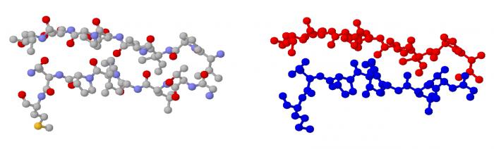 Eigenschappen en structuur van koolhydraten. Functies van koolhydraten