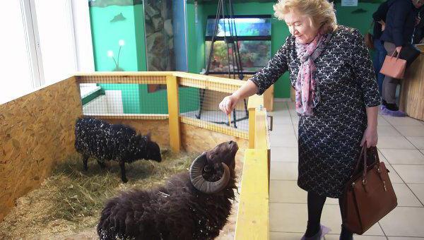 Een interessante plaats is de contactdierentuin in Lyubertsy