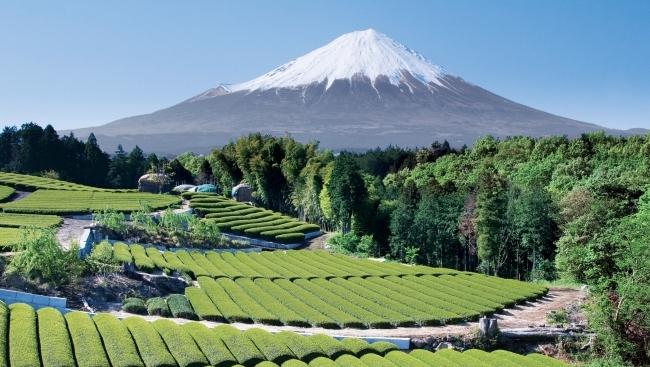 Het gebied van Japan in een geografische context