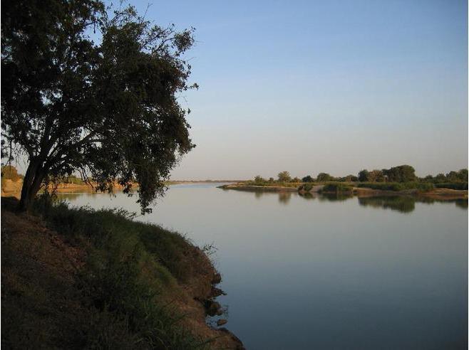 Shari River: beschrijving en foto