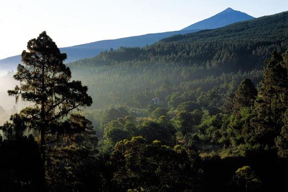 Vakantie Spanje Tenerife