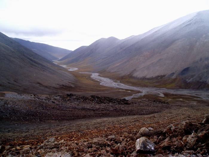 Wrangel Island: natuurreservaat, locatie op de kaart van Rusland, klimaat, coördinaten. Fauna en flora van Wrangel Island