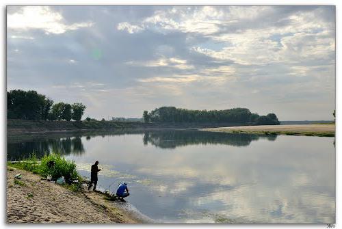 Knabbelen vissen in de regio Volgograd