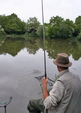 Lente vissen op de crucian karper