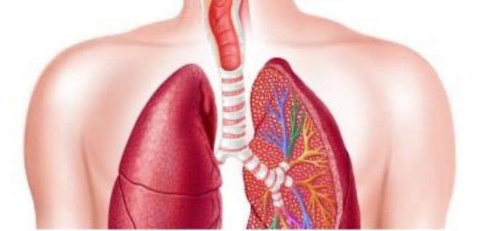 Idiopathische longfibrose - behandeling en aanbevelingen