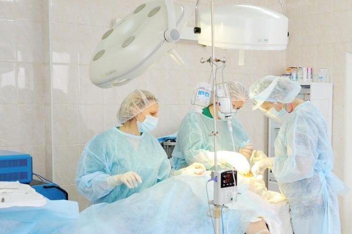 kliniek van plastische chirurgie anastasia lager Novgorod