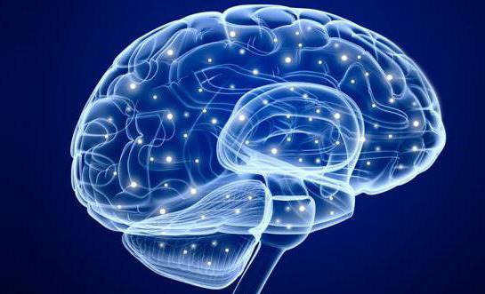 Contusie van de hersenen: mogelijke gevolgen in de toekomst