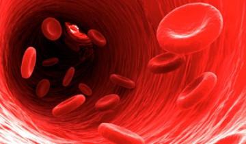 Waarom is het nodig om de benaming van de bloedgroep te kennen?